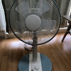 扇風機（2019年ニトリ製、使用回数少、キズ・汚れ少）