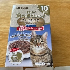 猫のウエットフード　パウチ　シニア用　コーナン　無料で差し上げます。
