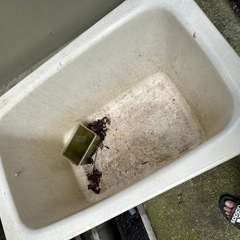 らんちゅう用品