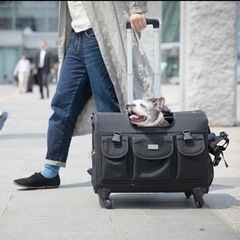 TAKE ME 中型犬 多頭飼い用キャリーバッグ ブラックＬサイズ リュック