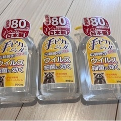 手ピカジェルプラス 300ml 消毒液 アルコール エタノール 