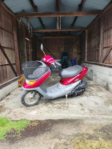 ホンダ HONDA DIO CESTA 50cc