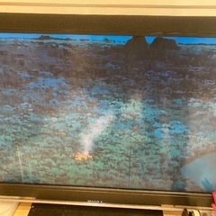 テレビ　40インチ　kdl-40x5000  SONY 見れます...