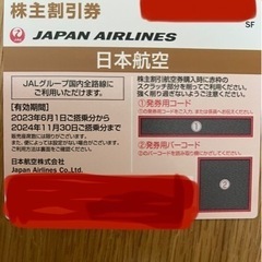 JAL 株主優待　24年11月まで