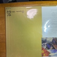 アナログ　Nakamura emi vol.4