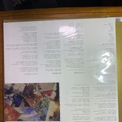 アナログ　Nakamura emi vol.4