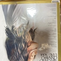 アナログ　Nakamura emi vol.4