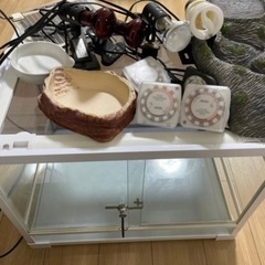 【備品付き】鍵付き飼育ケース　ガラスゲージ　爬虫類用　60×45