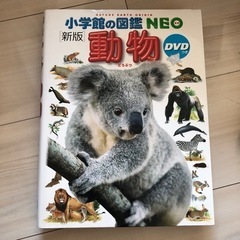 図鑑NEO 動物DVD付き