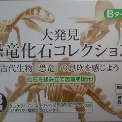 恐竜化石コレクション　ティラノサウルス