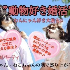 ☆7月22日㊏☆どうぶつ好きが集まる婚活パーティ※予約制※