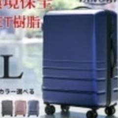 【ネット決済】スーツケース　キャリーケース　キャリーバッグ　ネイ...
