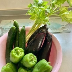 夏野菜セット　⑦