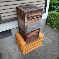 蜜蜂（ニホンミツバチ）養蜂用（重箱式養蜂箱付）