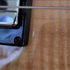 ibanez限定版セミアコです