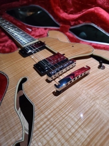 ibanez限定版セミアコです