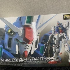 RG GUNDAM GPO1 ZEPHYRANTHES ガンダム