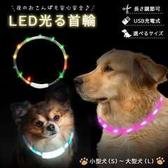 プチプラペット用品🐶🐈🎊🉐シークレットセール開催中🉐🎊