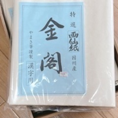 特選　画仙紙　金閣　漢字用　因州産