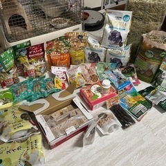 チンチラ、デグー飼育セット うさぎのおやつもあります