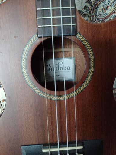 ゴルドバテナーウクレレ.カッタウェイ アメリカで購入の物