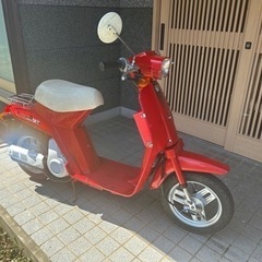 ホンダ | HONDA スカイ | SKY  原付50㏄車体バイ...