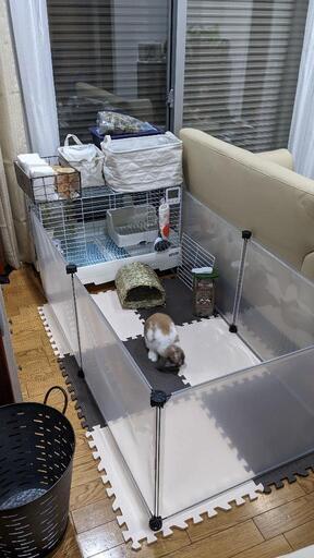 新古品 イージーホーム80etc 飼育フルセット #ウサギ うさぎ 兎  フェレット 小動物 ケージ