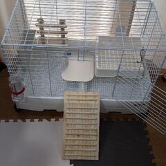 新古品 イージーホーム80etc 飼育フルセット #ウサギ うさぎ 兎