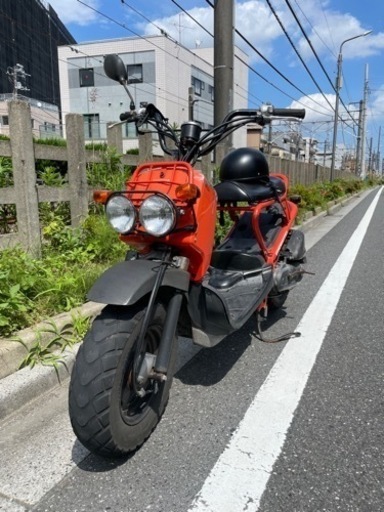ズーマー50cc 東京 実働