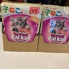 お話中です。カルカン子猫用やわらかチキン