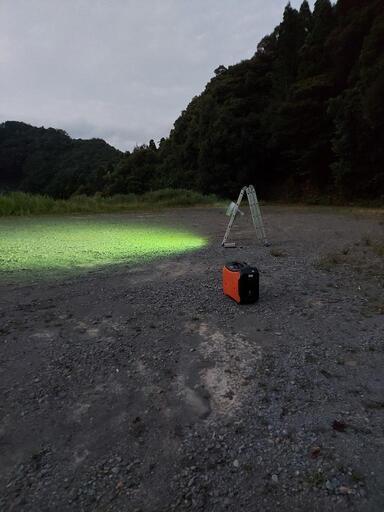 ライトトラップでのクワガタやカブトムシ採集