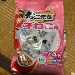 子猫用カリカリ(再投稿)