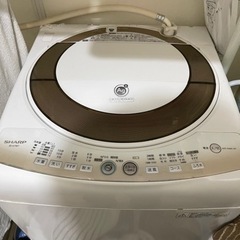 SHARP 7kg洗濯機‼️