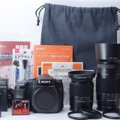 美品○初心者向け○すぐ使える○Wズームレンズ○ソニー α100 1ヶ月動作
