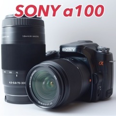 ☆SONY α100☆外観美品○練習に最適○すぐ使える○W