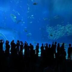 7月18日(火)
10:15〜12:15
♡葛西臨海水族園♡恋活...