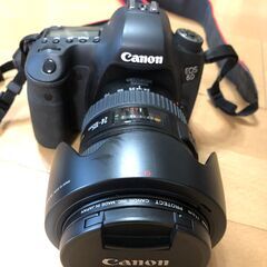 美品・入門おすすめ】Canon キヤノン EOS 6D EF 24-105mm レンズキット 