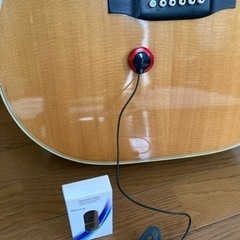 ☆試奏歓迎 レア銘機ブルーベル美品、美音 アコギ