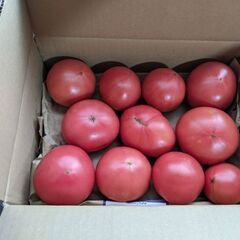 トマト２キロ今夜渡せる可能な方のみで ７月3日収穫