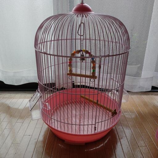 小鳥専用ゲージ