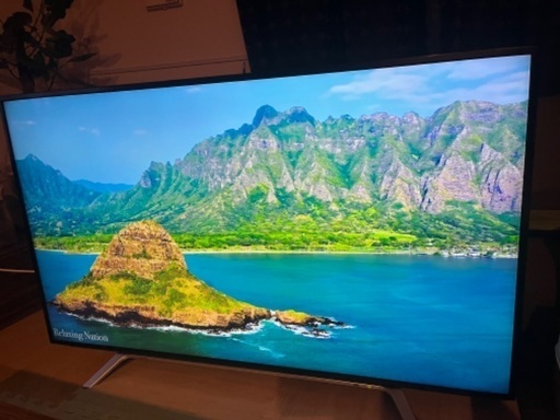 美品 TOSHIBA REGZA 55 インチ 4K テレビ タイムシフトマシン