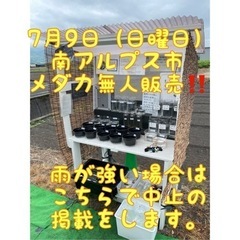 7月9日（日）　日曜メダカ販売AM10:00〜PM5:00（めだ...
