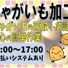 8月スタート☆【簡単作業♪】じゃがいもの芽取り〈美幌〉