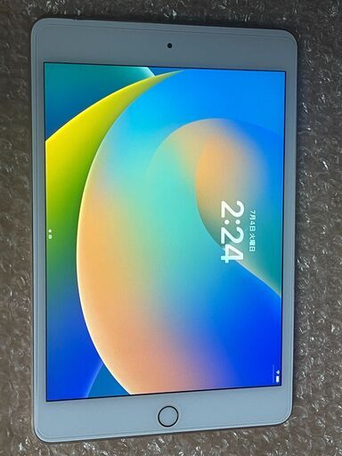 おまけ付 iPad mini5 Cellular セルラー 256GB Gold
