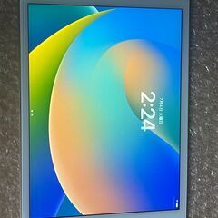 おまけ付 iPad mini5 Cellular セルラー 256GB Gold