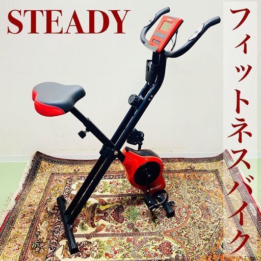 フィットネスバイク STEADY レッド 赤 【折りたたみ可能】