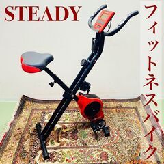 【ネット決済】フィットネスバイク STEADY レッド 赤 【折...