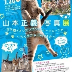 山本正義　写真展  立ち猫でズンズンズンでニャーニャーニャー　〜...