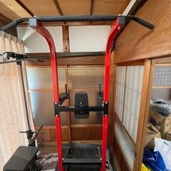 ファイティングロード  懸垂