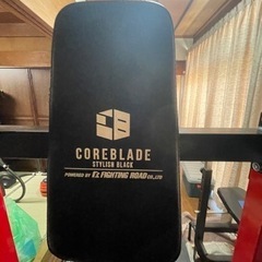 ファイティングロード  懸垂